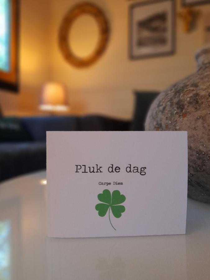 Carpe Diem, Het Ruime Chalet Met Houtkachel Nabij Wildlands Emmen Schoonebeek Exteriör bild